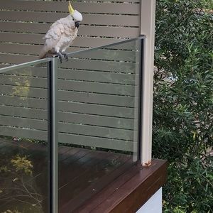 Meet your Posher, Gina